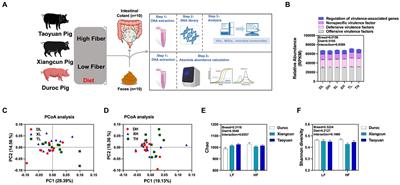Genetic- and fiber-diet-mediated changes in virulence factors in pig colon contents and feces and their driving factors